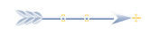 Seta