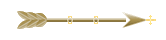Seta