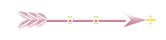 Seta