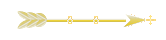 Seta
