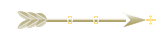 Seta