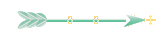 Seta