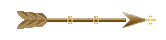 Seta