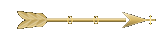 Seta