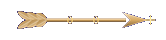 Seta