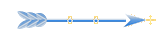 Seta
