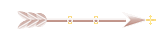Seta