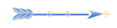 Seta