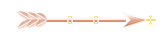 Seta