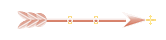 Seta