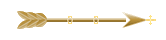 Seta