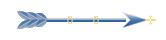 Seta