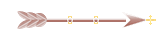 Seta