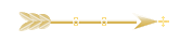 Seta