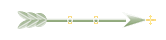 Seta