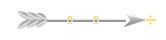 Seta